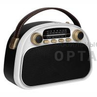 Радиоприемник трёхдиапазонный RITMIX RPR-040 WHITE, Bluetooth v.5.3, USB флэш/microSD, MP3, вход USB Type-C, ручка для переноски, белый(1/18)